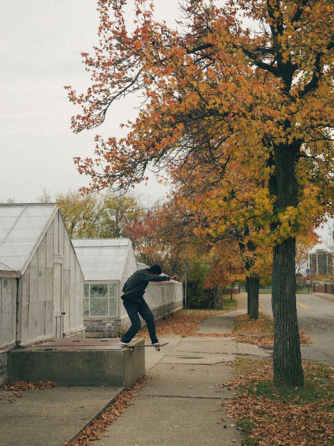 joey-guevara-frontside-bluntslide-photo-miguel-valle-speedway-skateboarding-magazine-interview