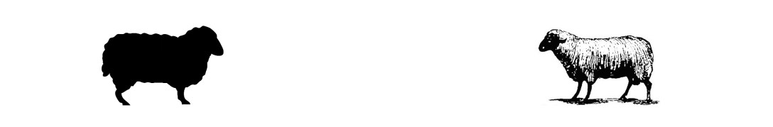 black-sheep-vs-black-sheep-banner